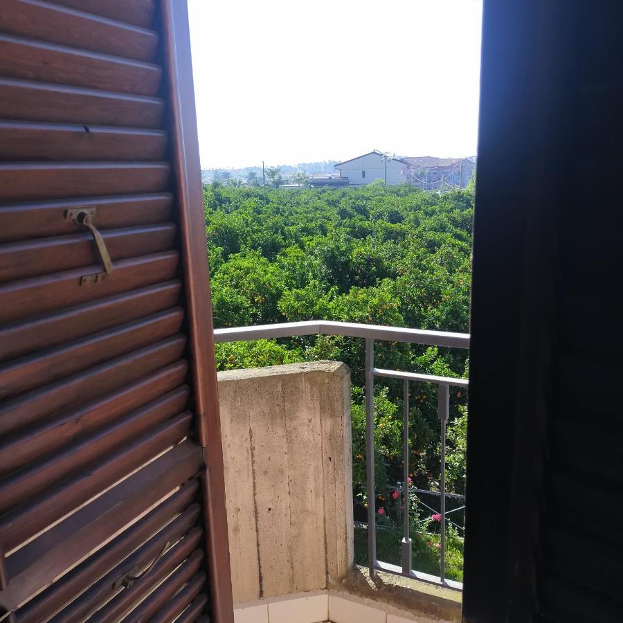 Gli Aranci Dell'Etna Villa Mascali Kültér fotó