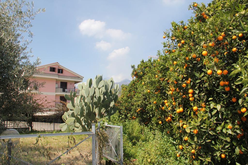 Gli Aranci Dell'Etna Villa Mascali Kültér fotó
